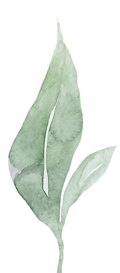 Green leaf